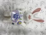 PELUCHE RABBIT TOY MEDIUM ANTEPRIMA - Imagen 2