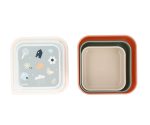 3 CAJAS ALMUERZO GEOMETRIC NATURE TUTETE - Imagen 3